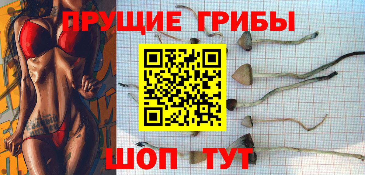 Галлюциногенные грибы Psilocybe  Вход с VPN  Коркино 